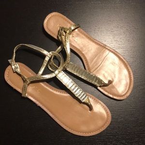 Gold T-strap Sandals